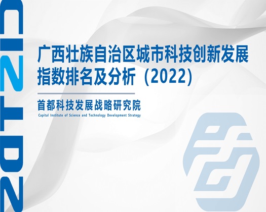 插进来网站【成果发布】广西壮族自治区城市科技创新发展指数排名及分析（2022）